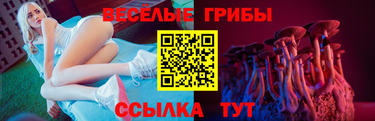 Новокуйбышевск  Псилоцибиновые грибы Cubensis  Вход с VPN 
